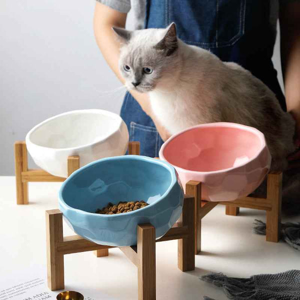 Pet bowl oblique mouth cat bowl food bowl dog bowl method bucket food bowl 1532146251093