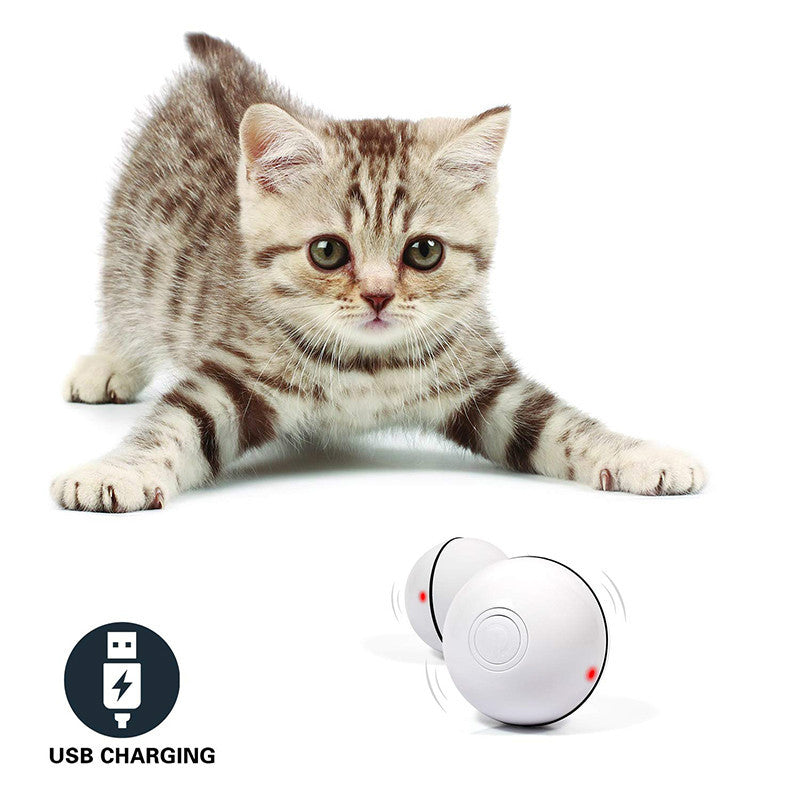 LED Laser Electronic Rolling Pet Funny Cat Toy Ball 270d87a9-cbf5-4340-9ed2-a845fe2b396e