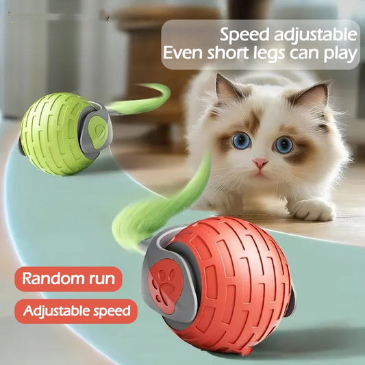 New Interactive Cat Toys Ball Auto Electric Rolling Ball Toys For Cat Kitty Pets Smart Automatic Teaser USB Rechargeable Cat Toy Pet Products - NOMAN STORE LLC
