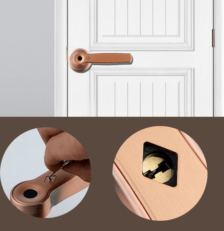 Indoor zinc alloy fingerprint handle lock 6194501652112