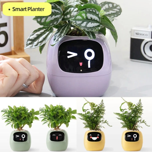 Smart Planter Endless Fun Over 49 Rich Expressions 7 Smart Sensors And AI Chips Make Raising Plants Easy And Fun - NOMAN STORE LLC