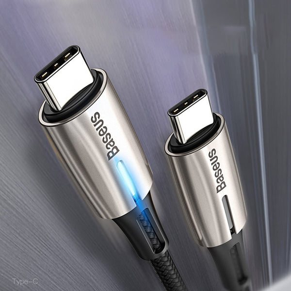 Dual Type-C data cable 663666671942