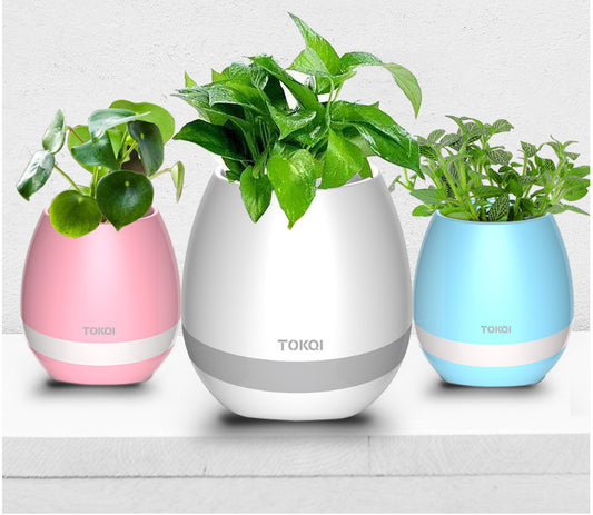 Touch-sensitive music vase desktop audio - NOMAN STORE LLC
