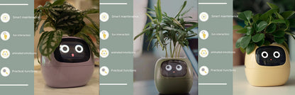 Smart Planter Endless Fun Over 49 Rich Expressions 7 Smart Sensors And AI Chips Make Raising Plants Easy And Fun aa56fa92-e2bb-4690-b429-93771e5c516c