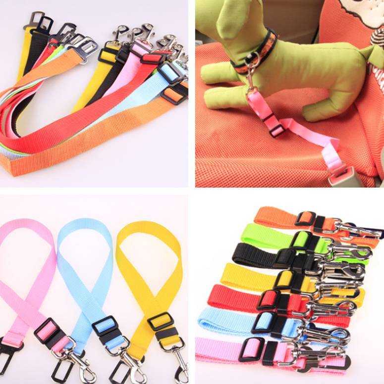 Fixed Strap Polyester Dog Strap Dog Leash Dog Leash ad8c0adb-98df-47e4-95b9-f773b956452a