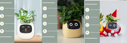 Smart Planter Endless Fun Over 49 Rich Expressions 7 Smart Sensors And AI Chips Make Raising Plants Easy And Fun - NOMAN STORE LLC