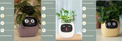 Smart Planter Endless Fun Over 49 Rich Expressions 7 Smart Sensors And AI Chips Make Raising Plants Easy And Fun - NOMAN STORE LLC