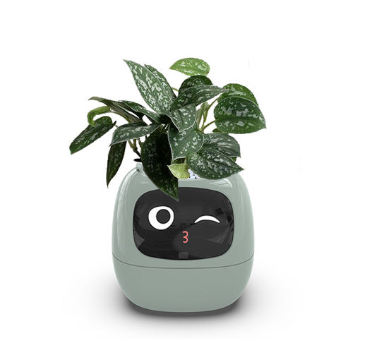 Smart Planter Endless Fun Over 49 Rich Expressions 7 Smart Sensors And AI Chips Make Raising Plants Easy And Fun - NOMAN STORE LLC